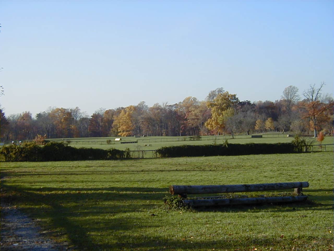Horse Farm near Branin Road