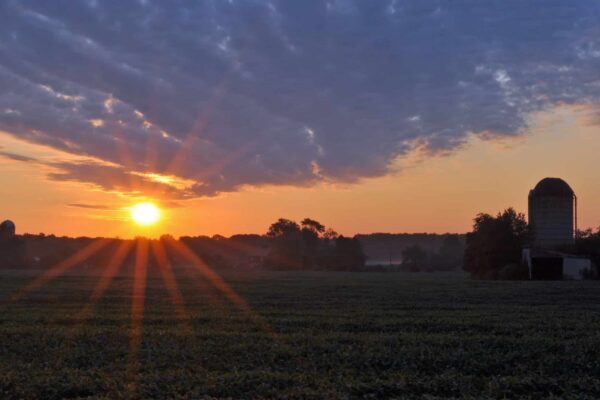 The sun rising over a Medford farm